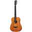 Taylor Baby Mahogany BT2