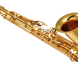 Bild för kategori Saxofon