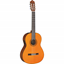 Yamaha CGX102