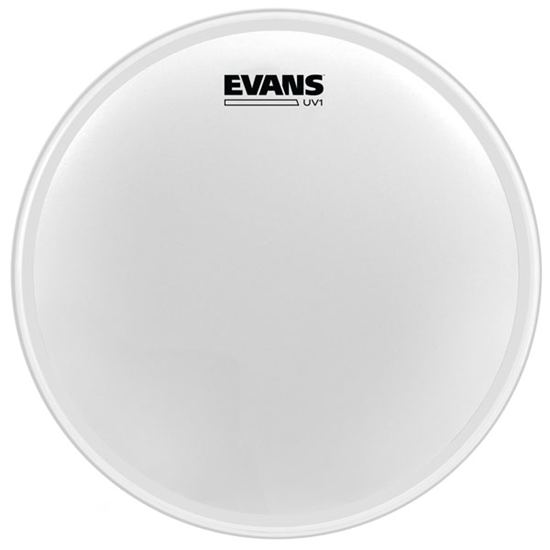 Evans UV1 16" Coated Bass