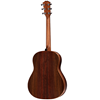 Taylor Builder's Edition 717 WHB Grand Pacific