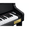 Casio GP310BK Celviano Grand Hybrid Piano
