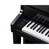 Casio GP510BP Celviano Grand Hybrid Piano 