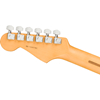 Fender American Professional II Stratocaster® HSS Maple Fingerboard Olympic White