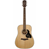 Richwood D-40 Master Series Handmade Dreadnought Guitar