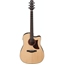 Ibanez AAD170CE Natural Low Gloss