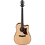 Ibanez AAD300CE Natural Low Gloss