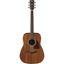 Ibanez AW54-OPN Open Pore Natural