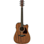 Ibanez AW54CE-OPN Open Pore Natural