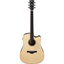 Ibanez AWFS580CE-OPS Open Pore Semi-Gloss