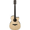 Ibanez ACFS580CE-OPN Open Pore Natural