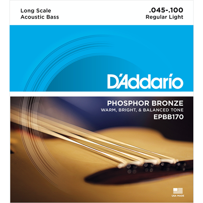 D'Addario EPBB170 Long Scale Acoustic Bass