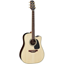 Takamine GD51CE-NAT 