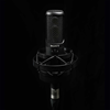 Sony C-100 Two-Way Condenser Microphone