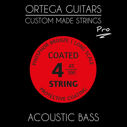 Ortega ABP-4 Acoustic Bass Pro Set