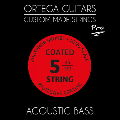 Ortega ABP-5 Acoustic Bass Pro Set