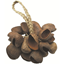 Toca Seed Shell Shaker