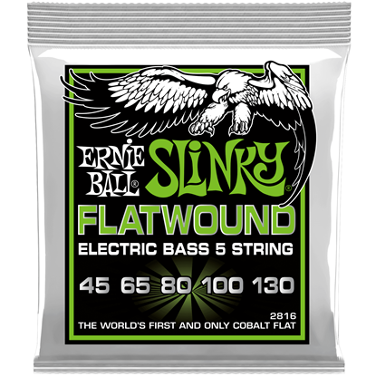 Ernie Ball Regular Slinky 5-String Flatwound Electric Bass 45-130