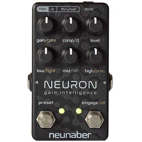 Neunaber Neuron