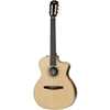 Taylor 214ce-N