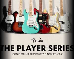 Bild för kategori Fender Player Series