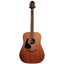 Takamine GD11M-NS-L