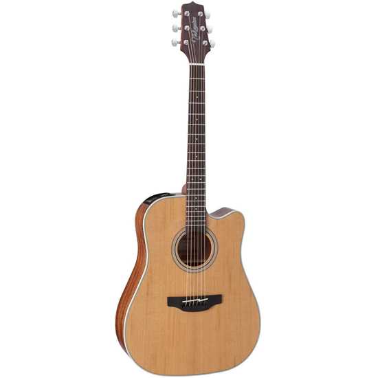 Takamine GD20CE-NS