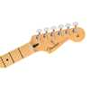 Fender Player Stratocaster® Anniversary 2-Color Sunburst