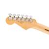 Fender Player Stratocaster® Anniversary 2-Color Sunburst