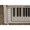 Casio AP-300 White