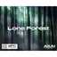 Native Instruments Lone Forest MPC Expansion