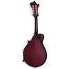 Epiphone F-5 Studio Wine Red Satin