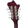 Epiphone F-5 Studio Wine Red Satin