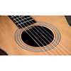 Taylor 112ce-N