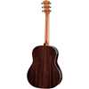 Taylor Gold Label 717e