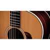 Taylor Gold Label 717e