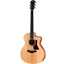 Taylor 14ce