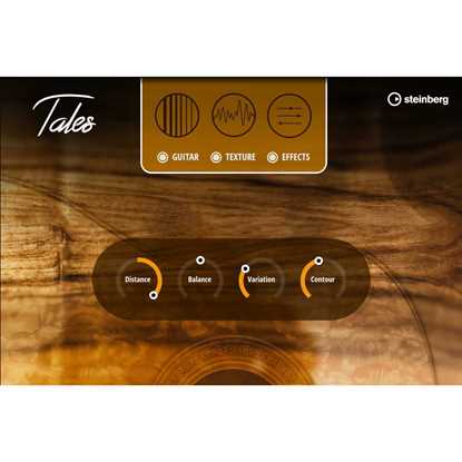 Steinberg Tales Open Tuned Guitar