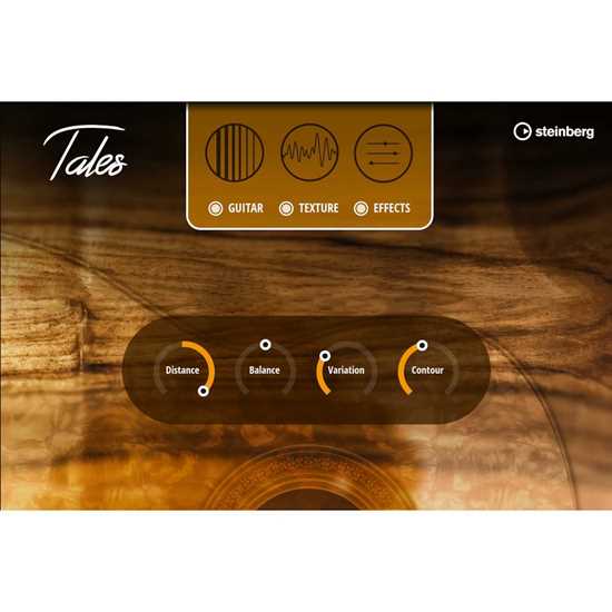Steinberg Tales Open Tuned Guitar