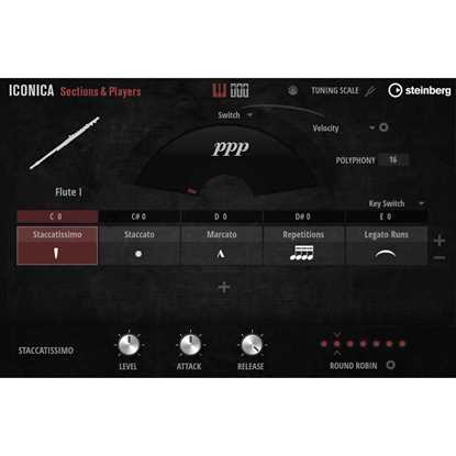 Steinberg Iconica Sections & Players