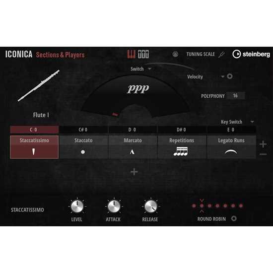 Steinberg Iconica Sections & Players