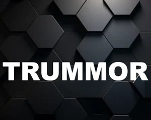 Bild för kategori BF Trummor