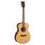 Yamaha TAS1 E Natural TransAcoustic