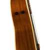 Fender Newporter Player Tidepool mikrofonsystem