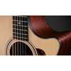 Taylor 354ce