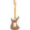 Fender American Professional Classic Stratocaster® Faded Firemist Gold