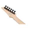 Ibanez RG470DXW-WZM Wine Red Frozen Matte