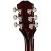 Epiphone Eric Church Hummingbird Dark Cobra Burst