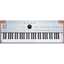 Arturia AstroLab 61 Silver Limited Edition