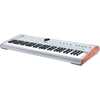 Arturia AstroLab 61 Silver Limited Edition